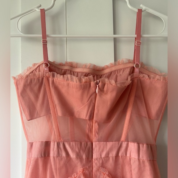 NWOT Z Crave DIDA Tulle Prom Formal Dress in Pink - Size Small - Picture 7 of 13